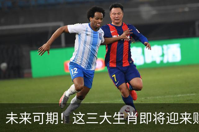 未来可期！这三大生肖即将迎来财富增长的好时光