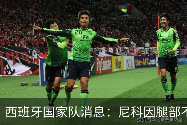 西班牙国家队消息：尼科因腿部不适退出集训，返回毕尔巴鄂恢复